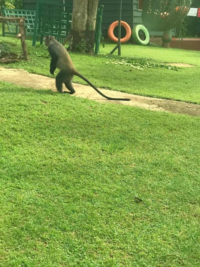 Songota Falls Lodge Arusha Bagian luar foto