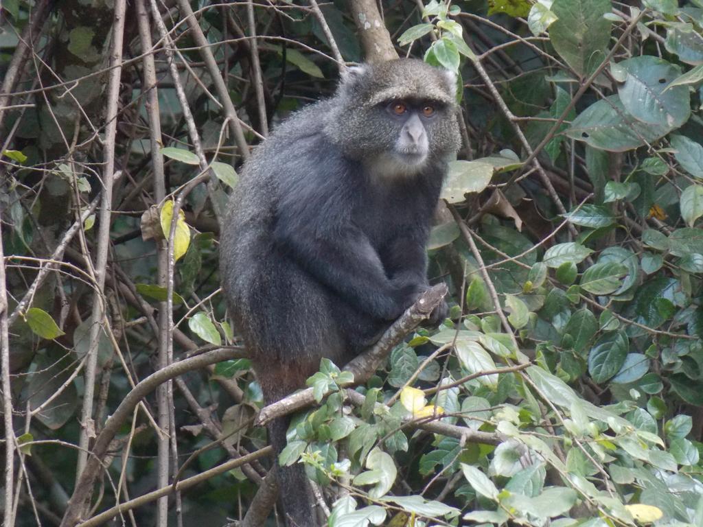 Songota Falls Lodge Arusha Bagian luar foto