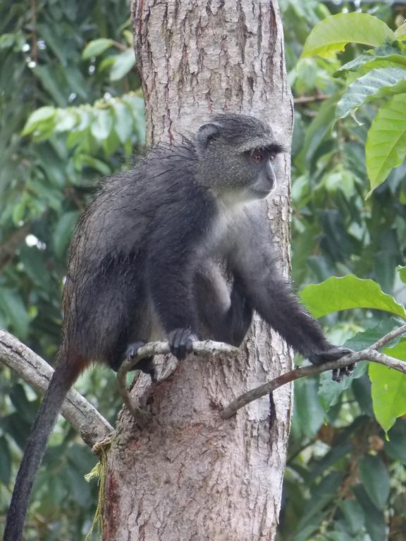 Songota Falls Lodge Arusha Bagian luar foto